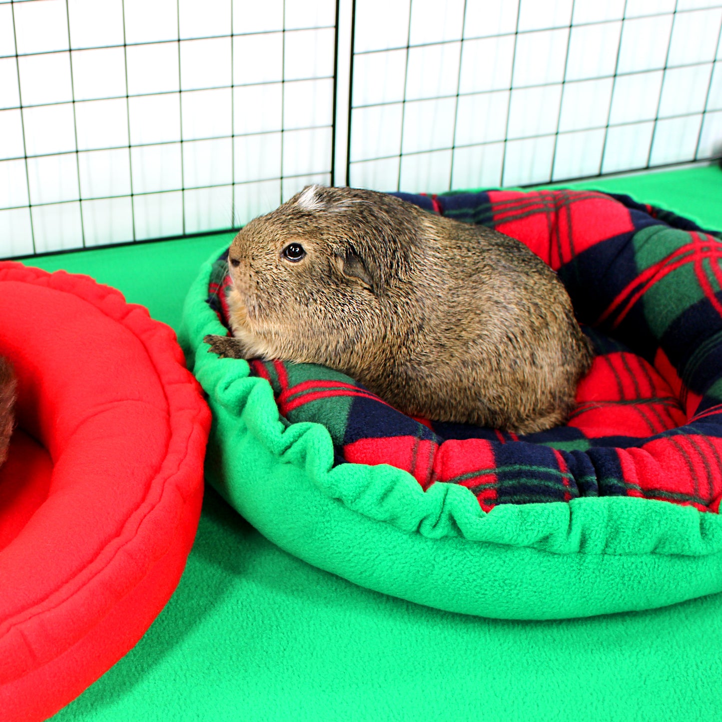 Christmas Tartan Doughnut Bed for Guinea Pigs