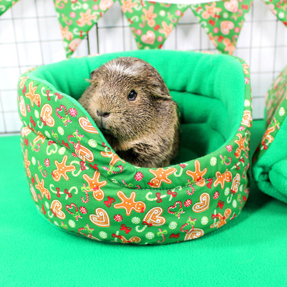 Small animal in a green patterned bed with a colorful background