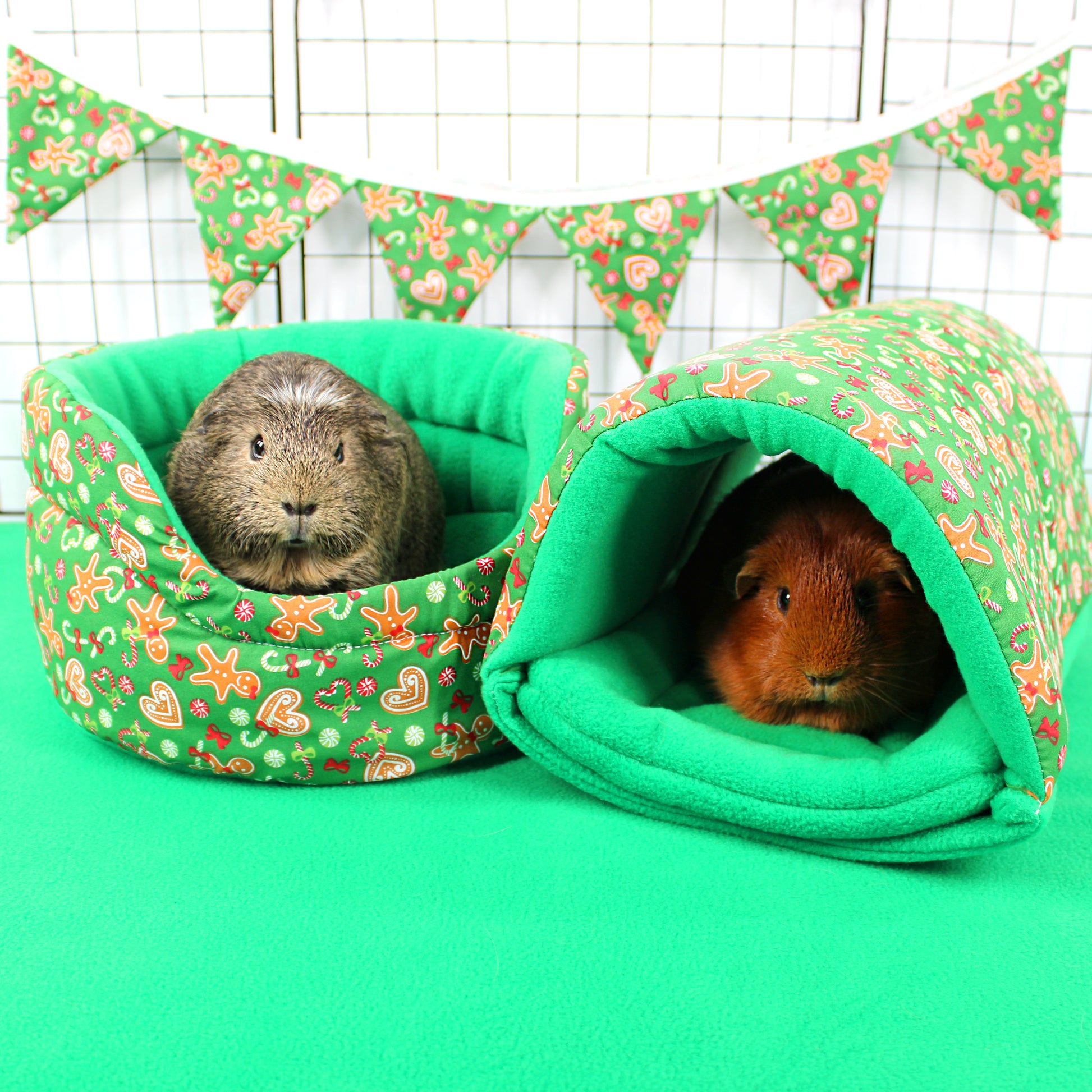 Two guinea pigs in a green pet bed with floral patterns on a green background.