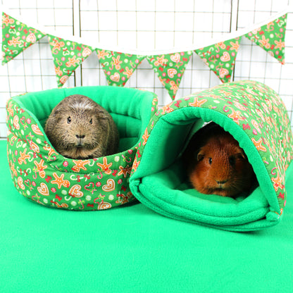 Two guinea pigs in a green pet bed with floral patterns on a green background.