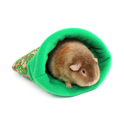 Small brown teddy guinea pig peeking out from a green tunnel with floral pattern on a white background