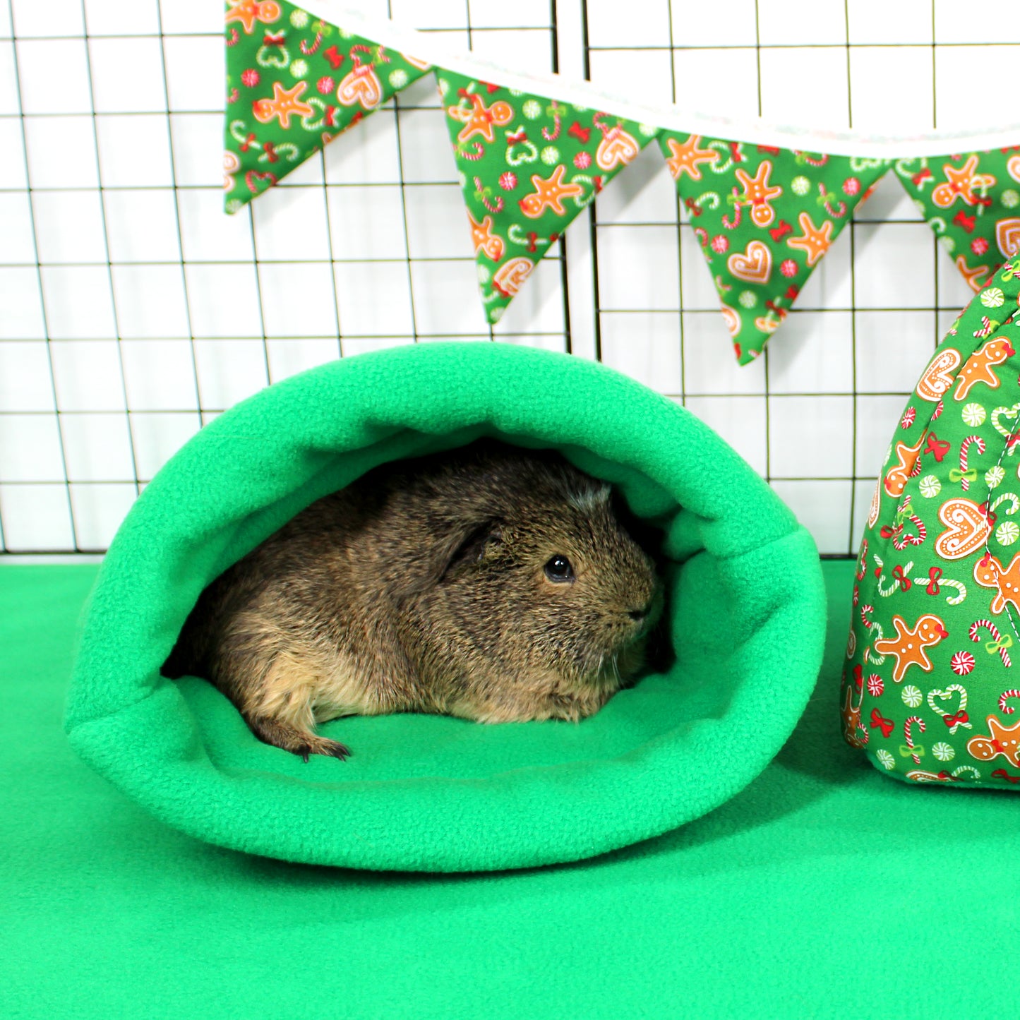 Small animal in a green fleece pouch with festive bunting in the background