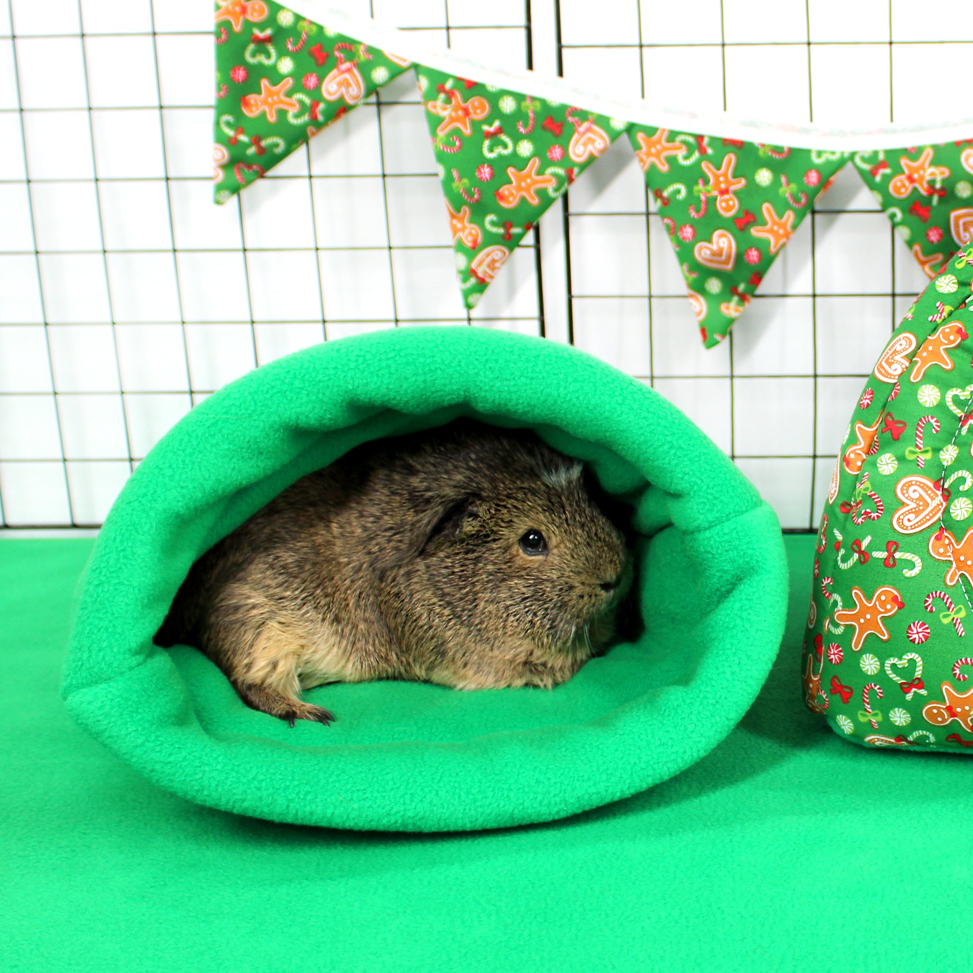 Small animal in a green fleece pouch with festive bunting in the background