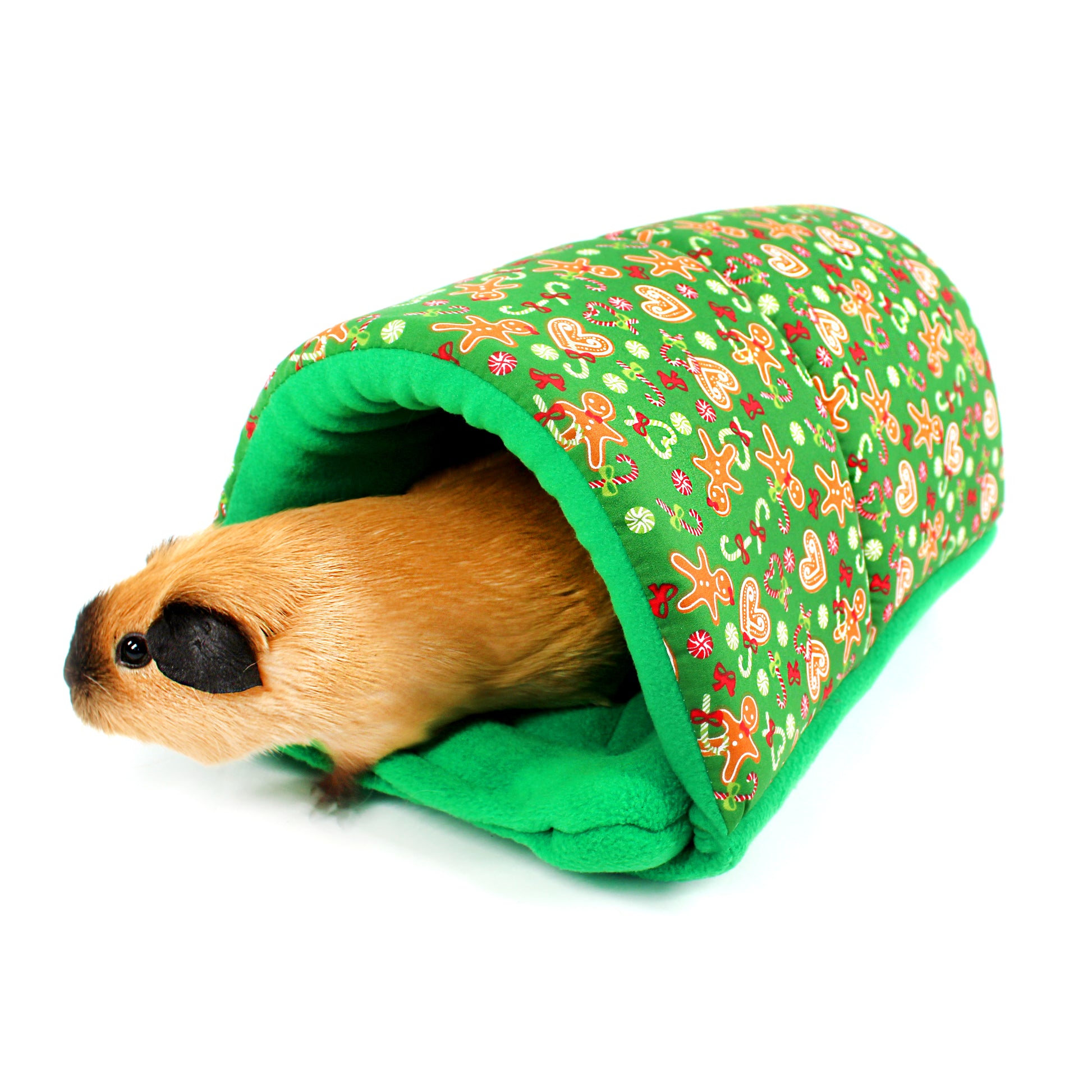 Small animal peeking out from a green patterned tunnel on a white background