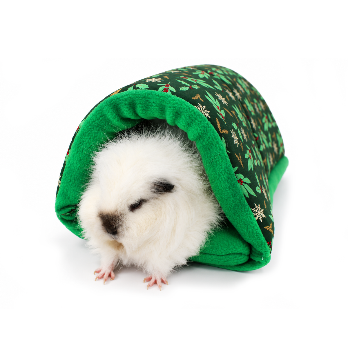 White guinea pig relaxing inside a festive green snuggle tunnel decorated with holly leaves, red berries, white snowflakes and golden foliage