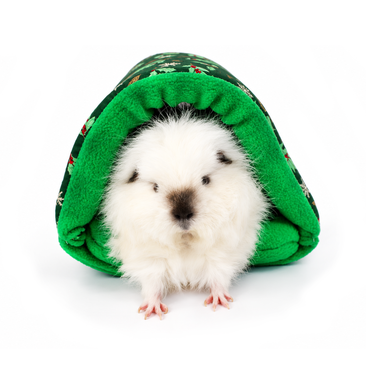 Festive Holly Guinea Pig Accessory Bundle Deal