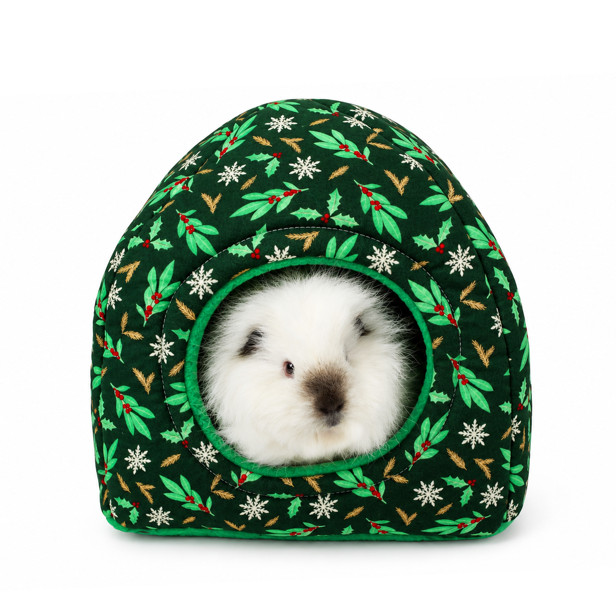 Festive holly hidey house for guinea pigs with forest green cotton outer, emerald green fleece lining and a fluffy white guinea pig peeking through the entrance