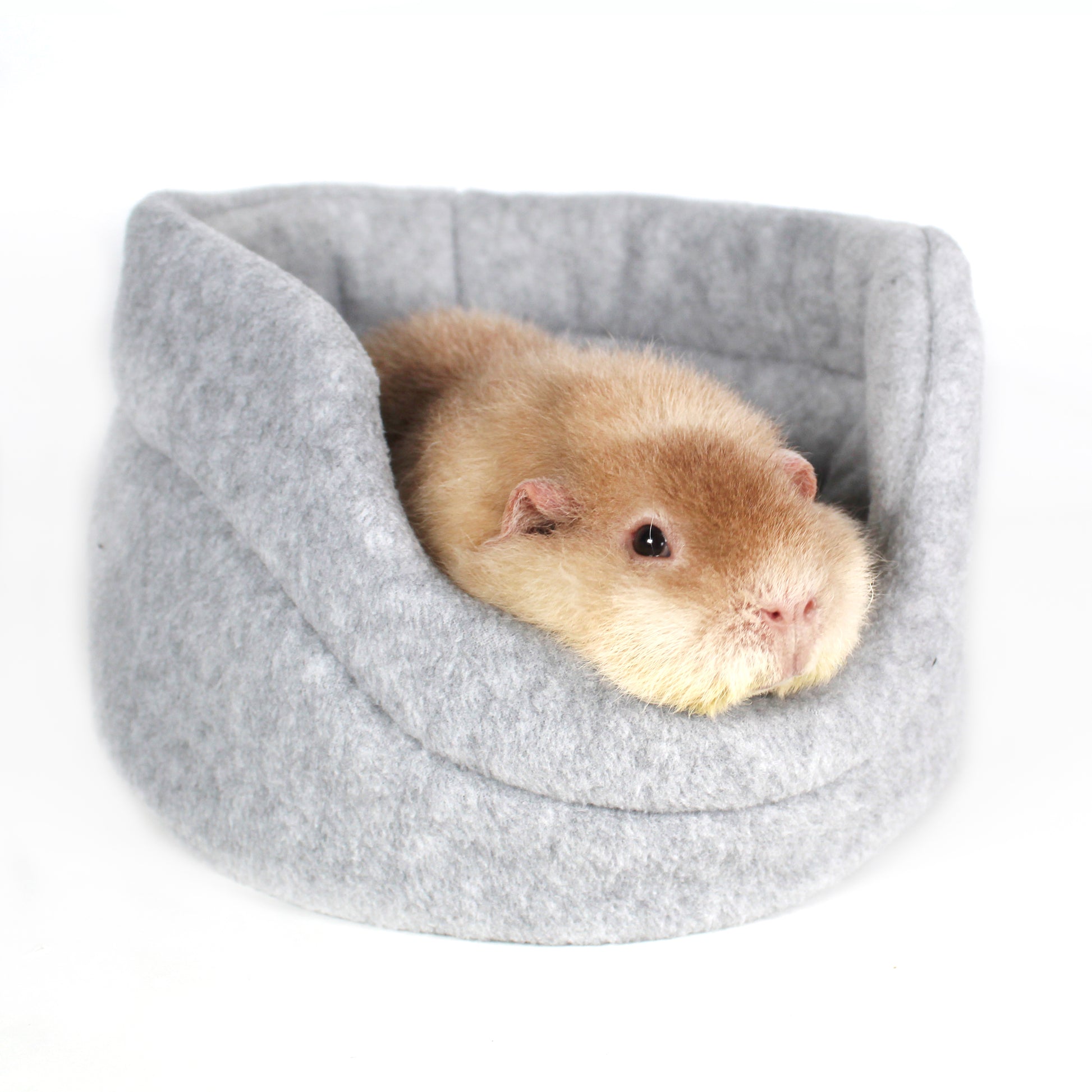 Gray Cuddle Cup Bed for Guinea Pigs, close up with a happy guinea pig inside the bed