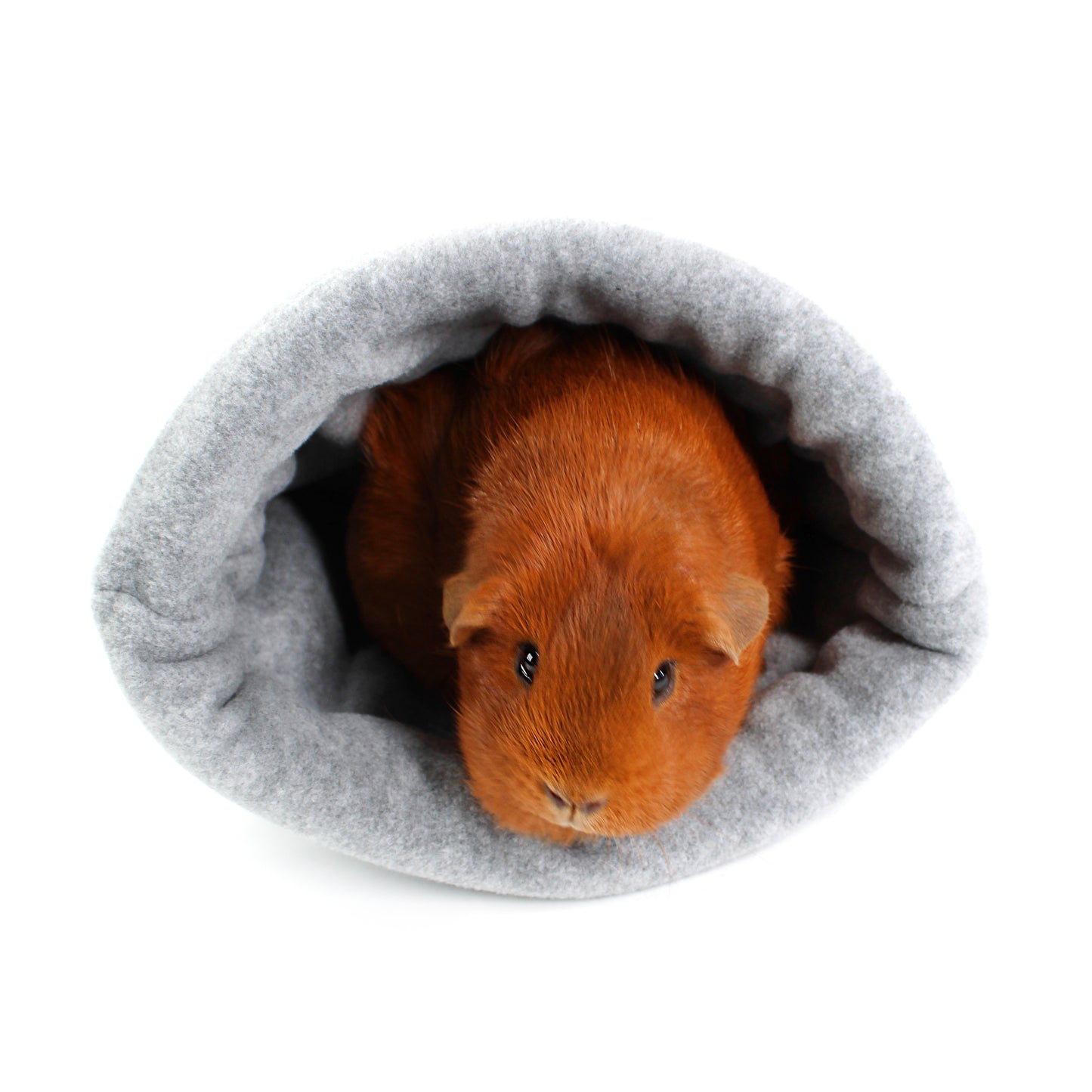 Grey Polar Bear Cuddle Sack for Guinea Pigs