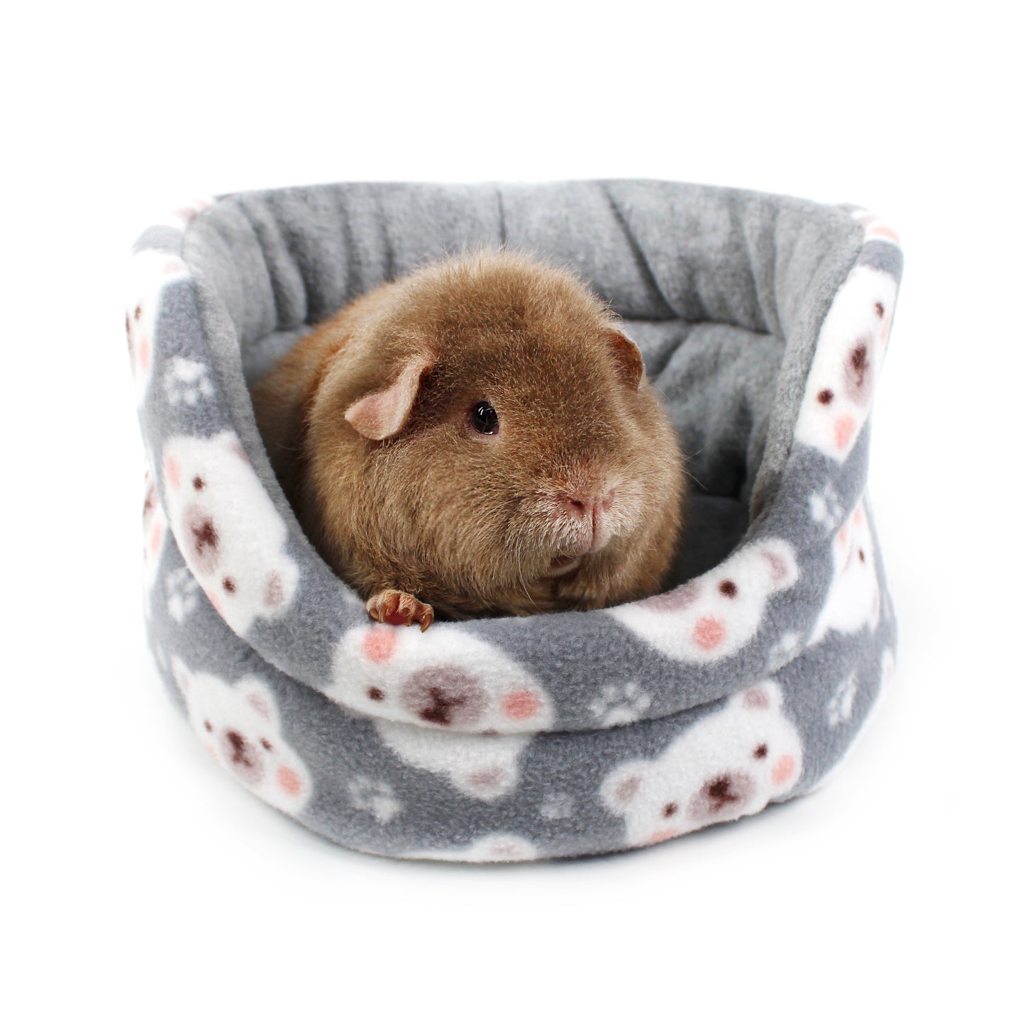 Grey Polar Bear Guinea Pig Accessory Bundle Deal