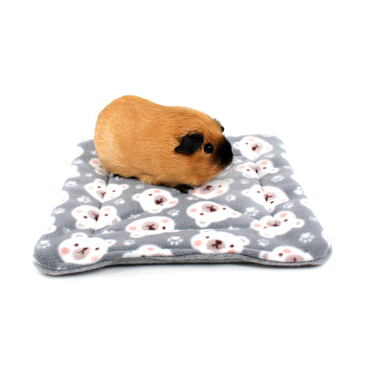 Guinea pig on a gray blanket with white paw prints on a white background