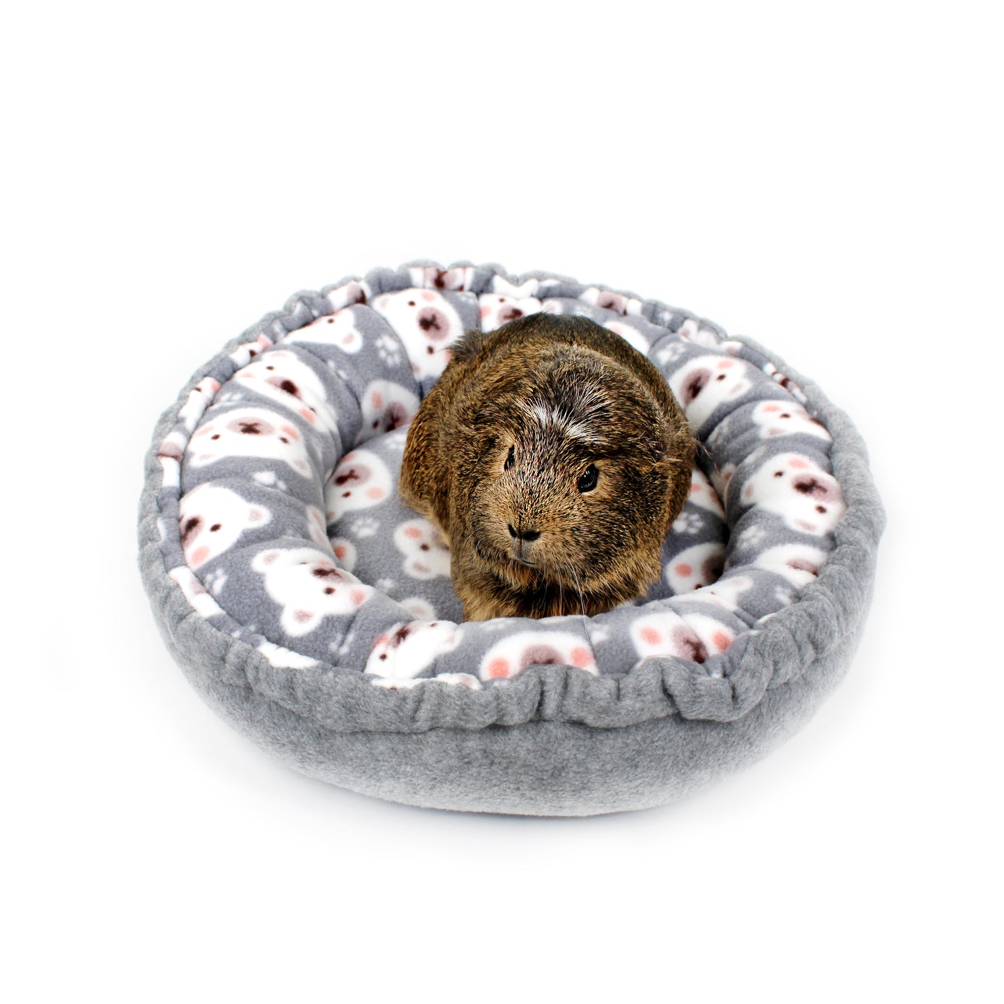 Small animal, likely a guinea pig, in a gray donut bed with white paw prints on a white background