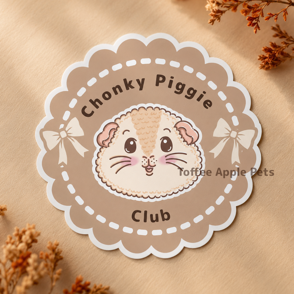 A scalloped round pet name sign for a hamster, featuring a cute cartoon hamster face and the text 'Chonky Piggie Club'. The sign is placed on a beige textured surface with dried flowers in the corners.
