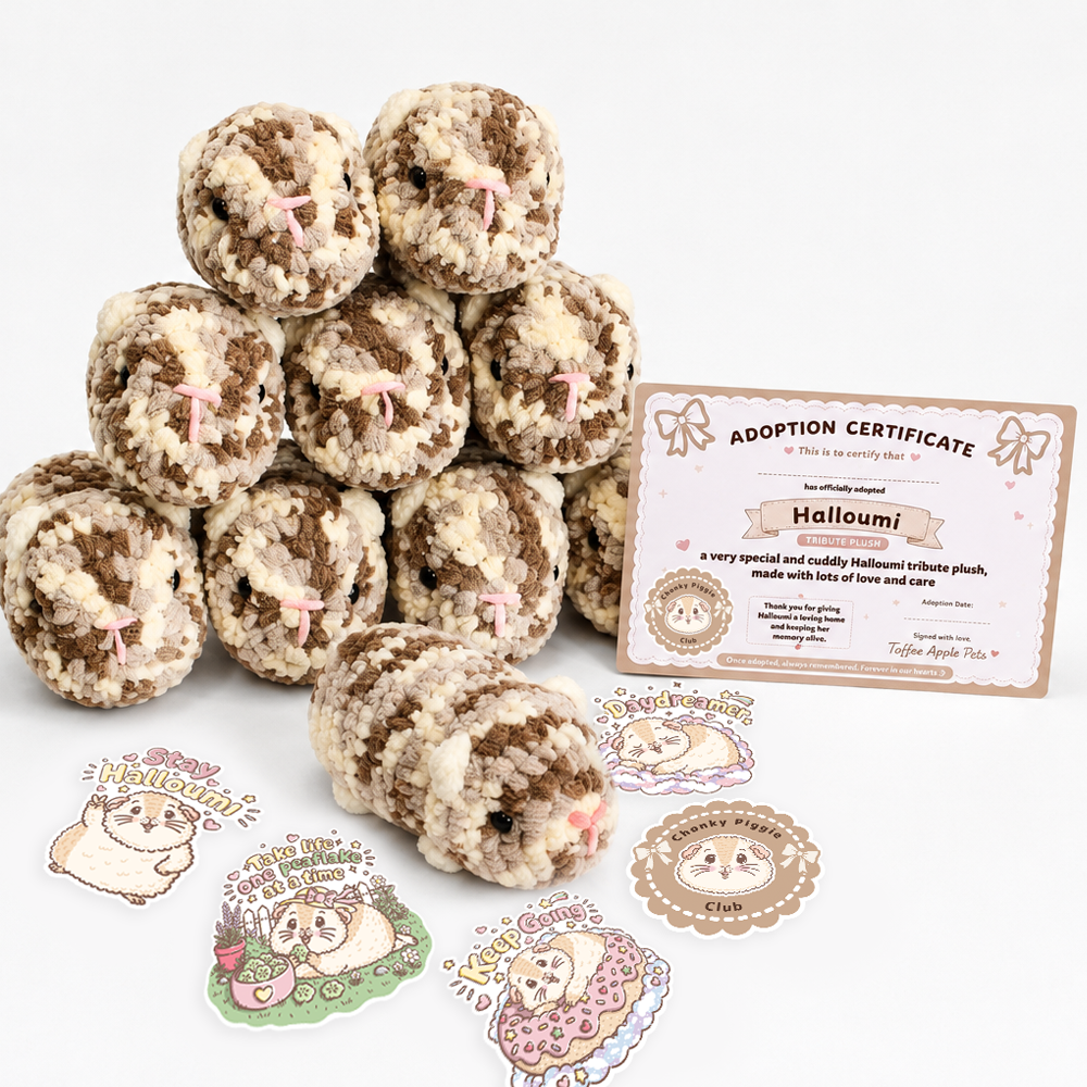 Halloumi Tribute Collection guinea pig designs and handmade accessories