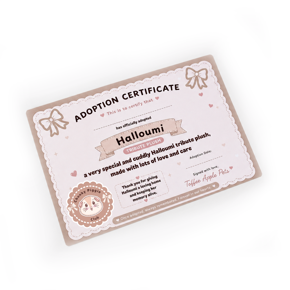 Halloumi crocheted guinea pig plush and adoption certificate