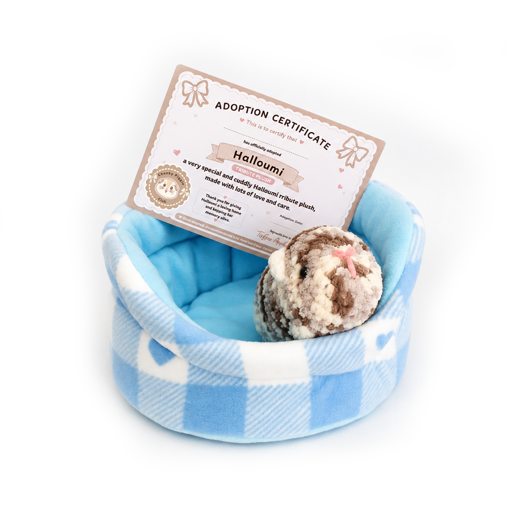 Hand crocheted Halloumi guinea pig plush displayed on a blue guinea pig bed