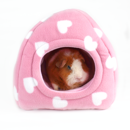 Valentines Day Guinea Pig Hidey House