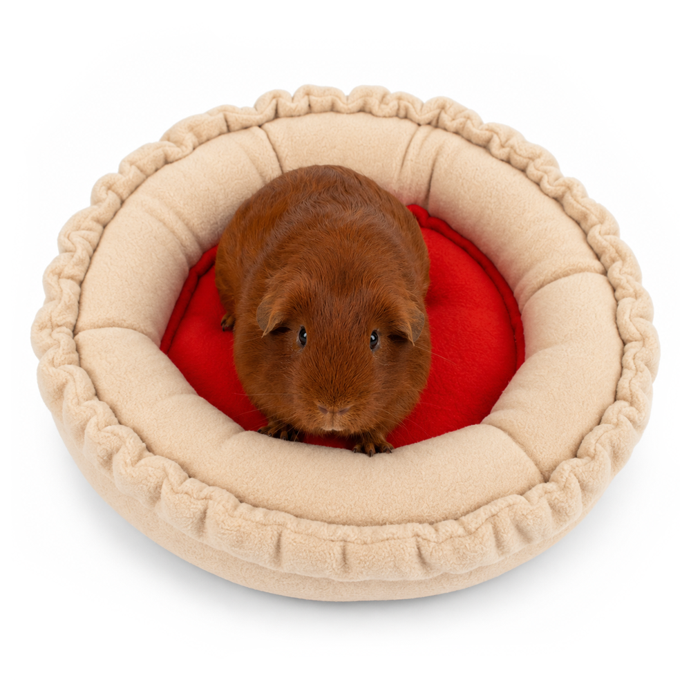 Guinea pig relaxing in the Jam Tart doughnut bed