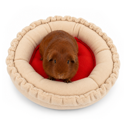Guinea pig relaxing in the Jam Tart doughnut bed