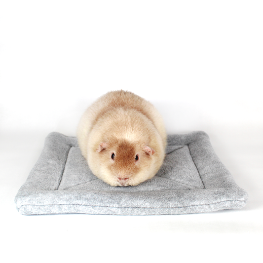 Large Square Grey Pee Pad for Guinea Pigs, front view of the lap pad with a happy guinea pig on