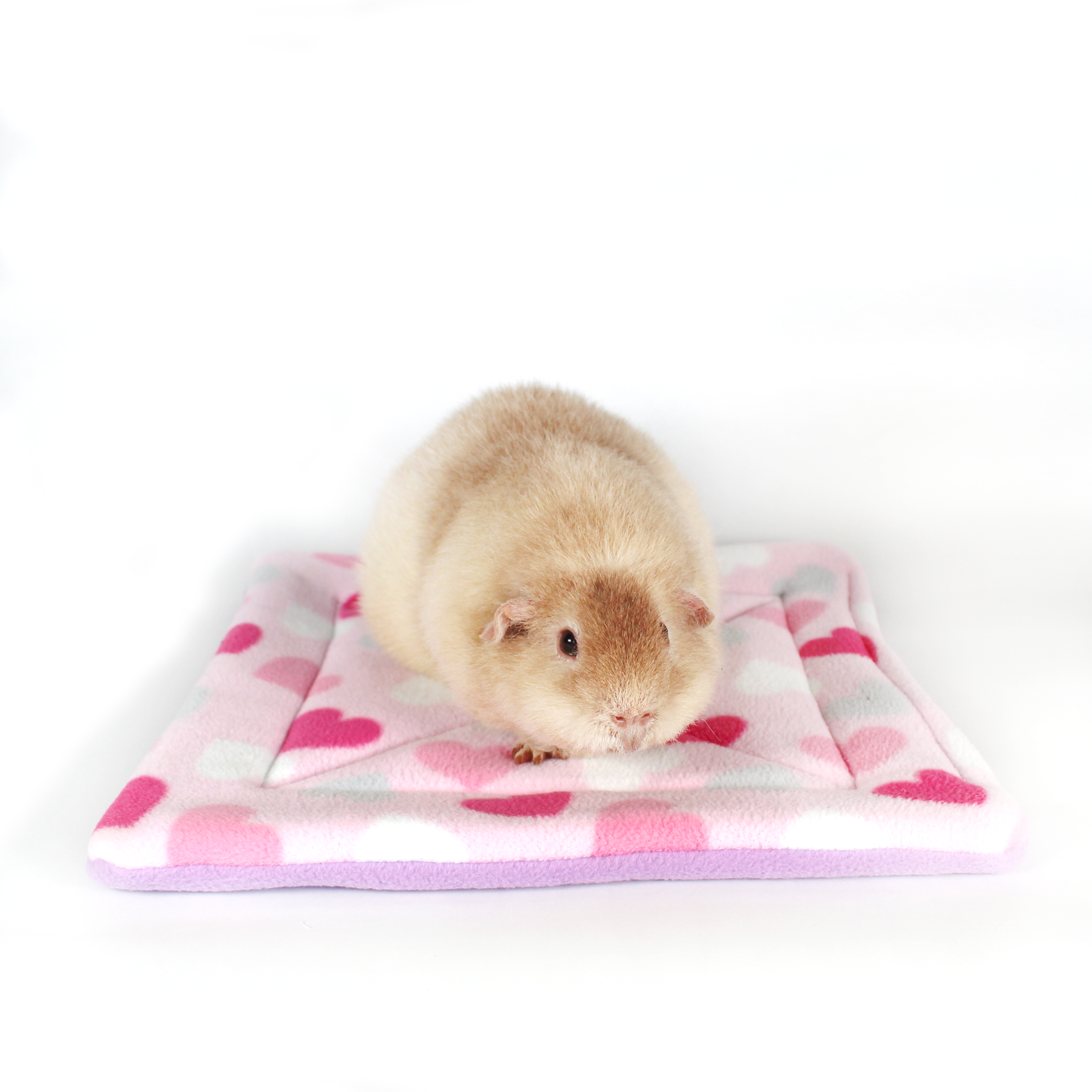 Large Square Heart Pattern Pee Pad for Guinea Pigs