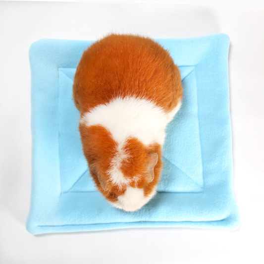Large Square Light Blue Pee Pad for Guinea Pigs, top view with a guinea pig on top for sizing of the pee mat