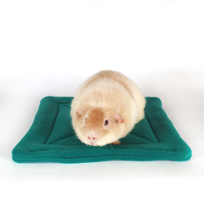 Large Square Teal Guinea Pig Pee Pad, front view of the pee pad with a guinea pig on top