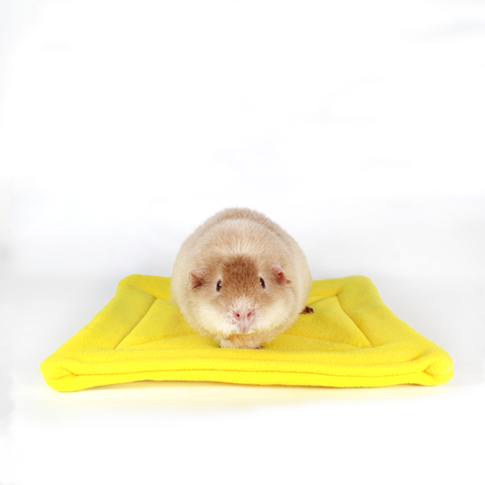 Large Square Yellow Pee Pad