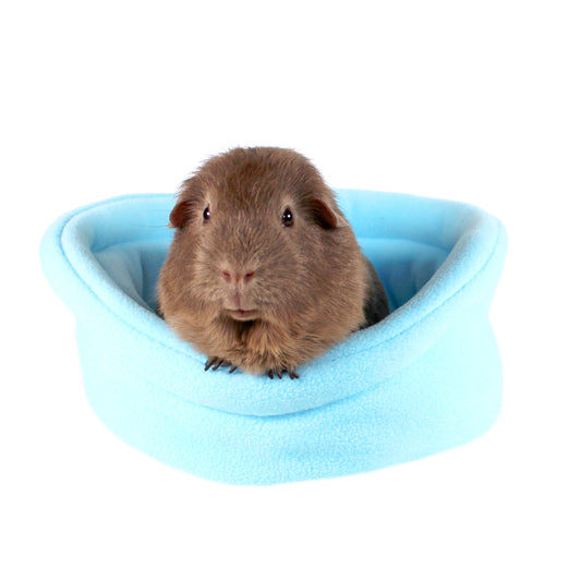 Baby Blue Guinea Pig Accessory Bundle