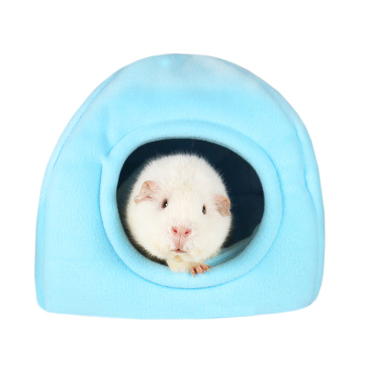 Baby Blue Guinea Pig Hidey House, front view with guinea 