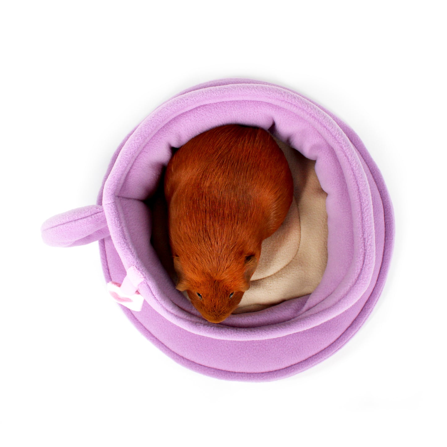Lilac Teacup Bed for Guinea Pigs