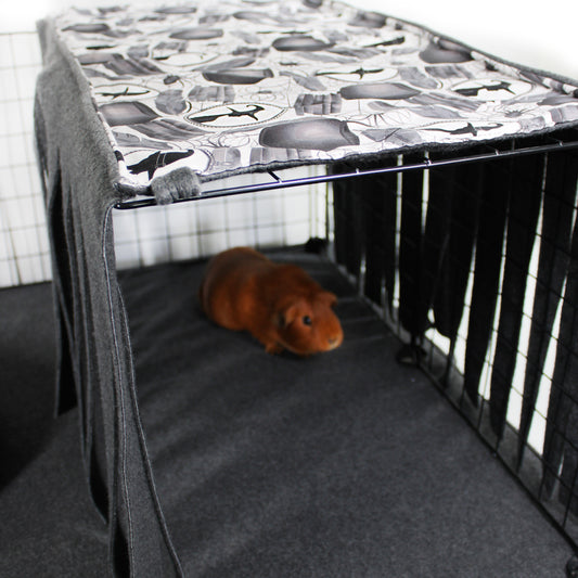 Guinea pig in a cage with a patterned top