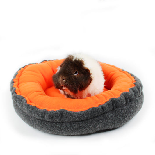 Small animal, likely a guinea pig, in an orange and gray pet bed on a white background