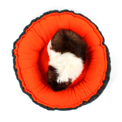 Cat lying on a round orange cushion with black trim on a white background