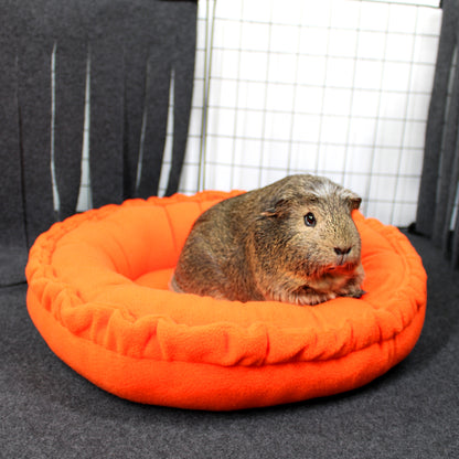 Guinea pig sitting on an orange pet bed with a grid-patterned background