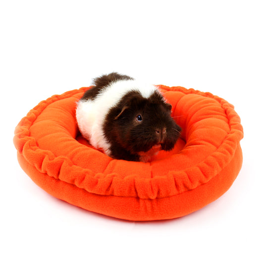Guinea pig on an orange pet bed against a white background