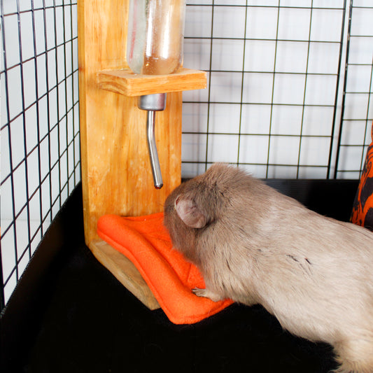 Pair Of Orange Water Bottle Drip Pads, under a water bottle with a Guinea pig drinking from it 