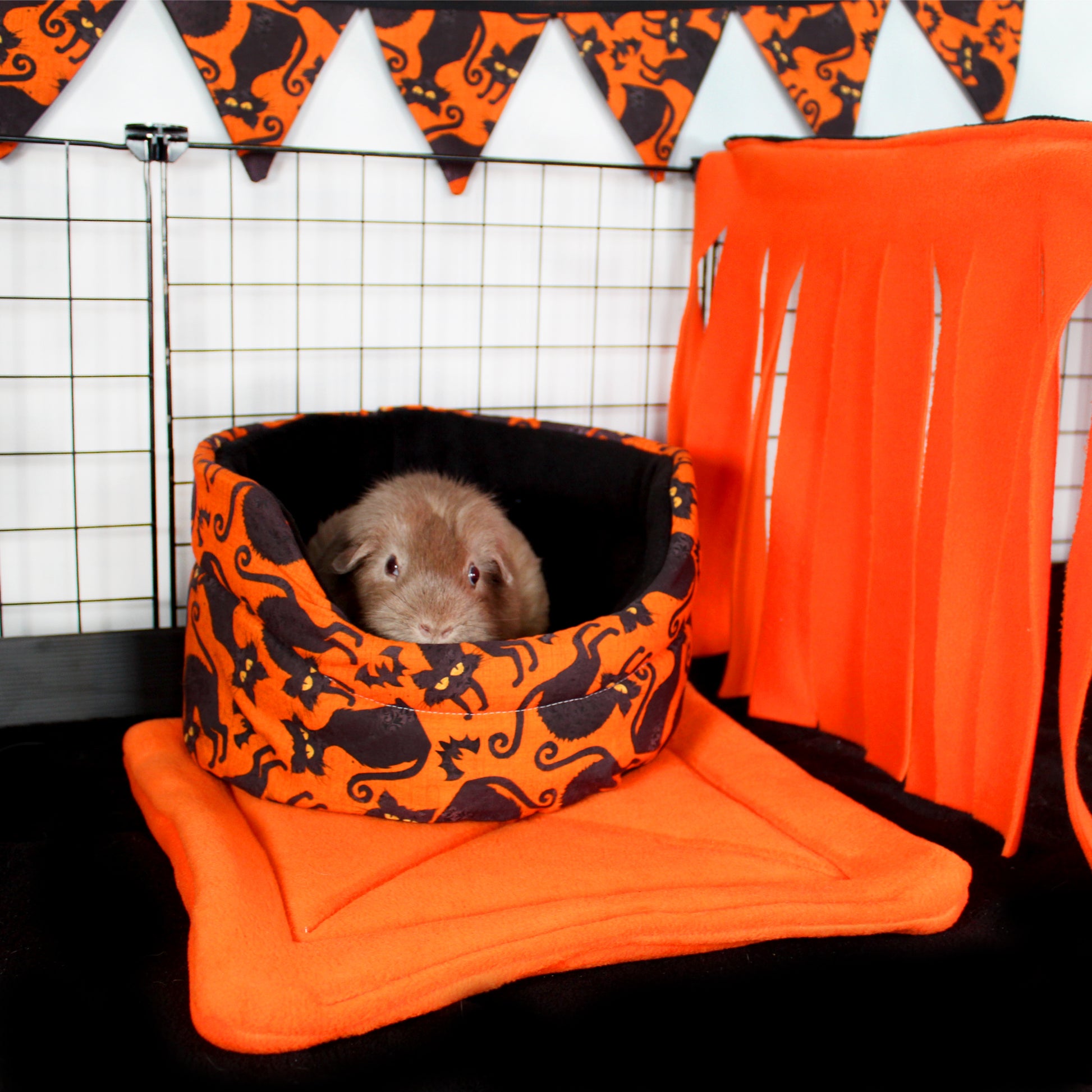 Large Black Cat Orange Bunting, black cat themed cage with a happy guinea pig in bed