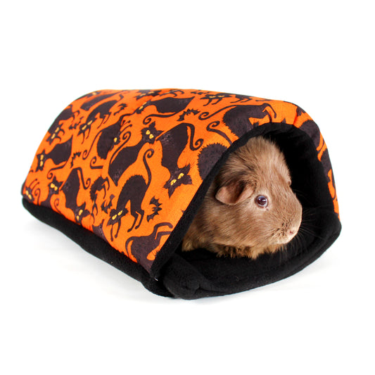 Black Cat Halloween Squish Tunnel, front view with a happy guinea pig in the tunnel