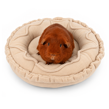 Guinea pig relaxing in the Mince Pie doughnut bed