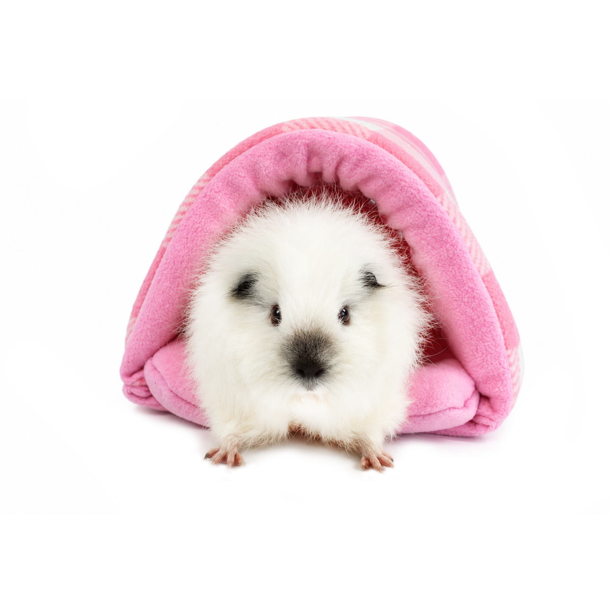 Pink Hearts Gingham fleece tunnel for guinea pigs with soft pink fleece lining