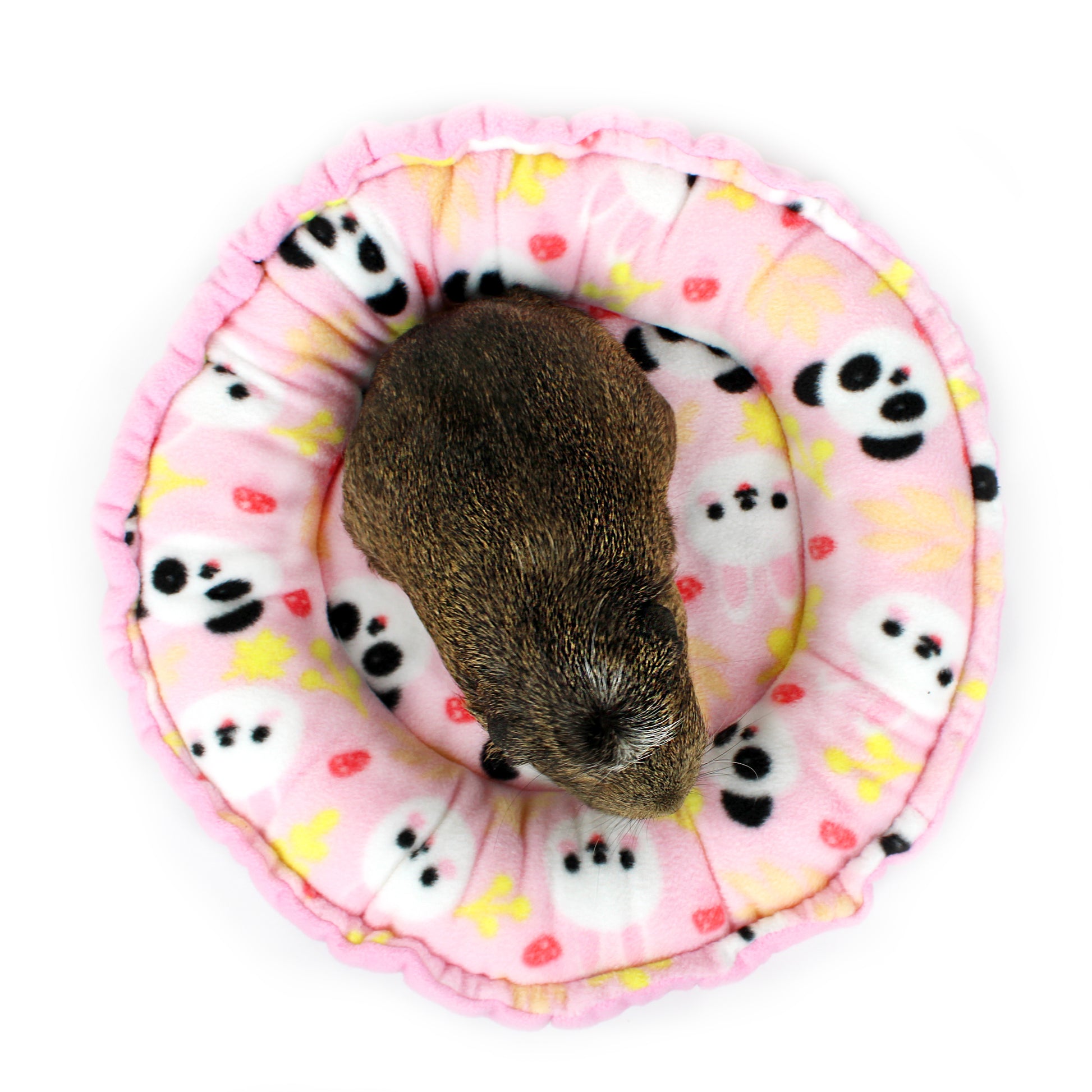 Small animal on a pink circular mat with panda patterns