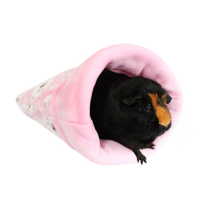 Guinea pig peeking out from a pink tunnel on a white background