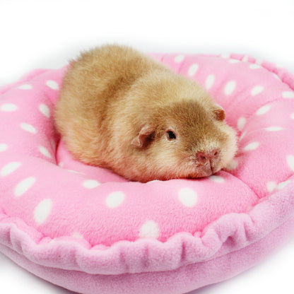 Pink Polka Dot Doughnut Bed for Guinea Pigs