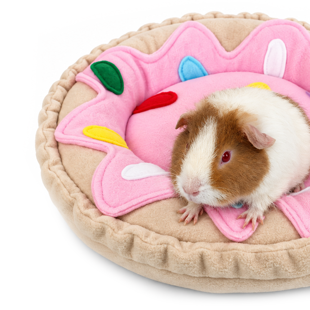 Halloumi Tribute doughnut bed with guinea pig relaxing inside