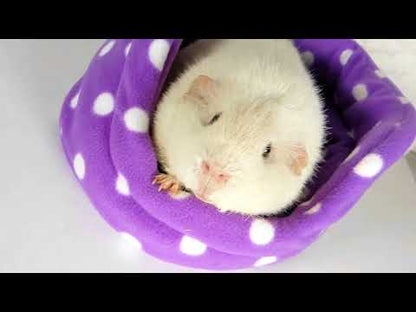 Purple Polka Dot Guinea Pig Cuddle Cup, youtube video showcasing the guinea pig bed