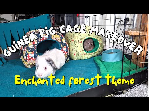 Green Mushroom Guinea Pig Accessory Set
