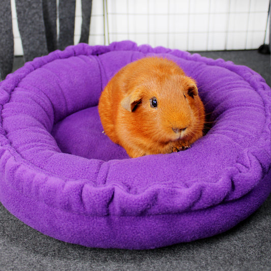 Plain Purple Doughnut Bed