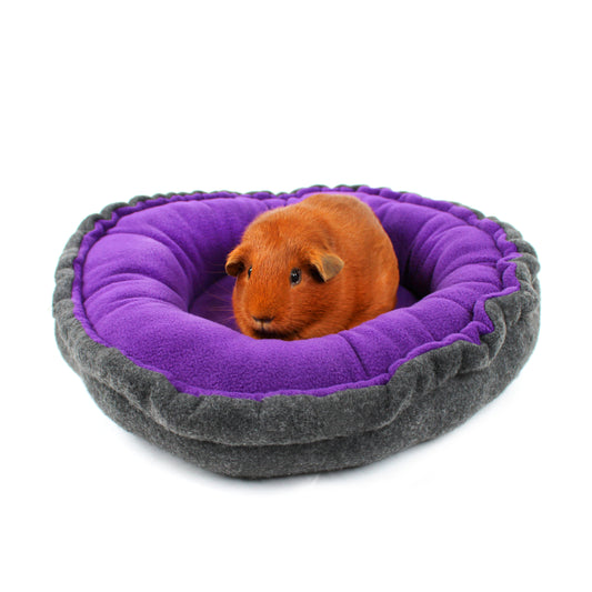 Guinea pig inside a purple and gray pet bed on a white background
