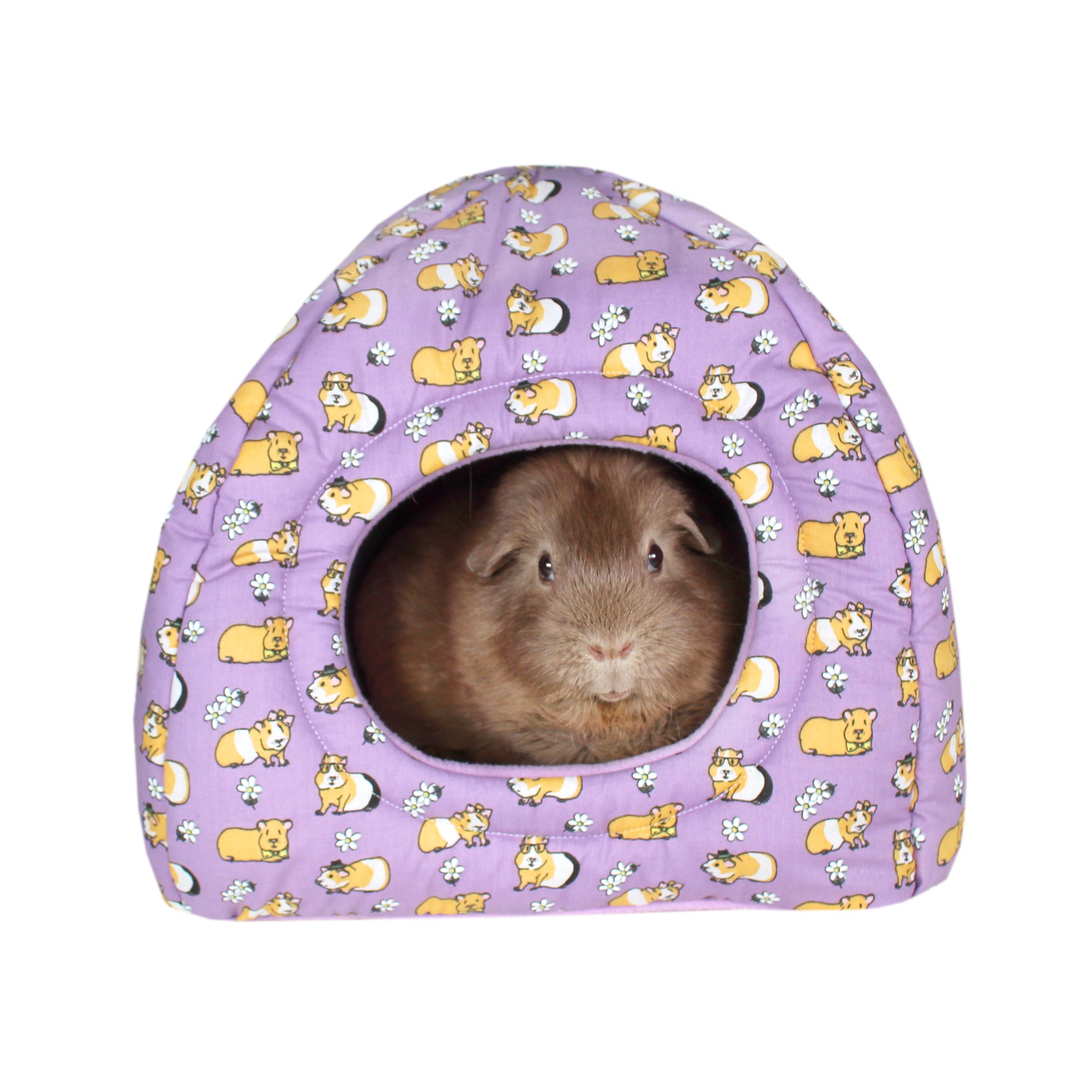 Purple Guinea Pig Pattern Hidey Hut, front view with guinea pig Earl Grey